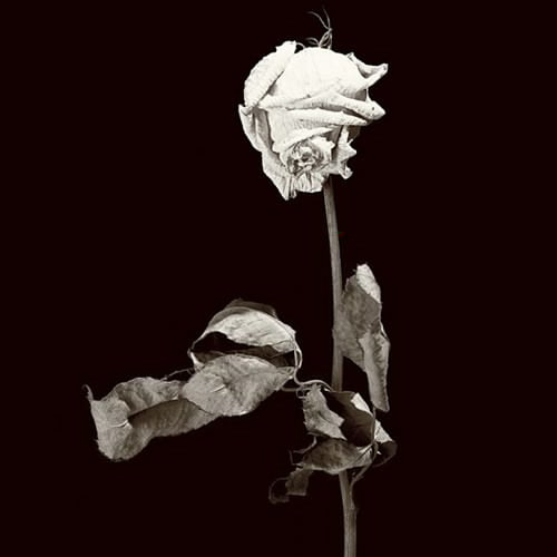 احسان آقایی هارداسان ای نازلی یاریم